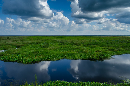 lake clouds florida gainesville swamp paynesprairie