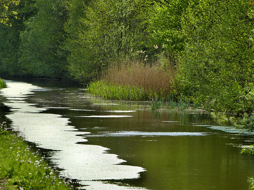 holland netherlands landscape stream beek beck nederland twente overijssel landschap panasonicdmcfz150 poelsbeek 1150020