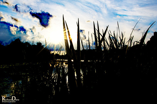 blue trees sunset sun reflection wet water clouds reeds dark illinois dusk il paloshills lakekathering