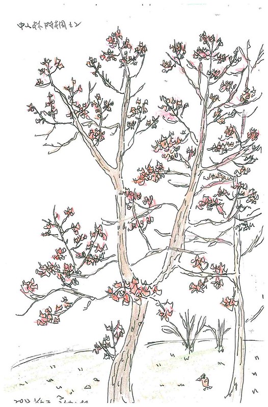 上色的中山林楓紅，孫麗婷繪。