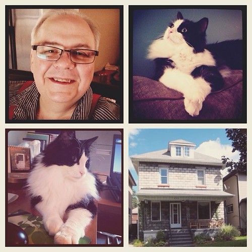25. Home #fmsphotoaday #littlemomentsapp #catsofinstagram #tuxedocats