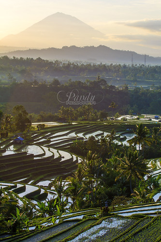 bali reflection sunrise indonesia landscape photography tour mount guide ricefield agung jatiluwih baliphotography balitravelphotography baliphotographytour baliphotographyguide