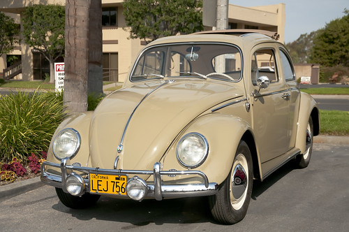 vw bug beetle 1956volkswagen