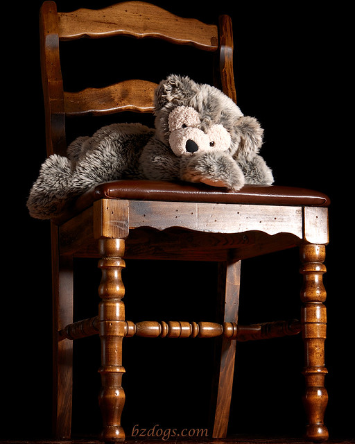 Bear Chair