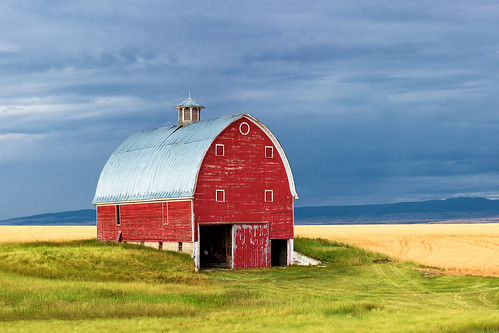 old blue red summer sky storm building home field grass rain weather horizontal architecture clouds barn rural vintage dark landscape real countryside wooden montana alone moody mt estate unitedstates natural wind outdoor earth antique farm ominous wheat country farming rustic scenic dramatic stormy nobody farmland structure moore heartland pasture crop planet thunderstorm lonely copyspace agriculture idyllic oldfashioned ripe stockphoto stockphotography colorimage buildingexterior ferguscounty agriculturalphotography