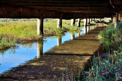 wood bridge naturaleza water reflections landscape puente madera agua nikon plantas under sigma paisaje 28 reflejos marismas naturalpark puertoreal parquenatural debajo lostoruños d5100