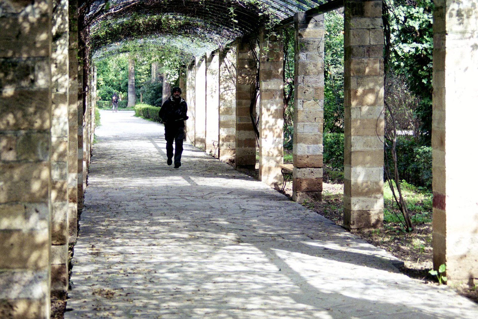 Arch Walkway