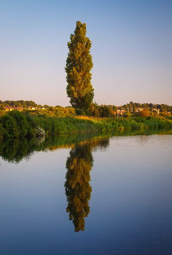 reflection river lea hertfordshire hertford