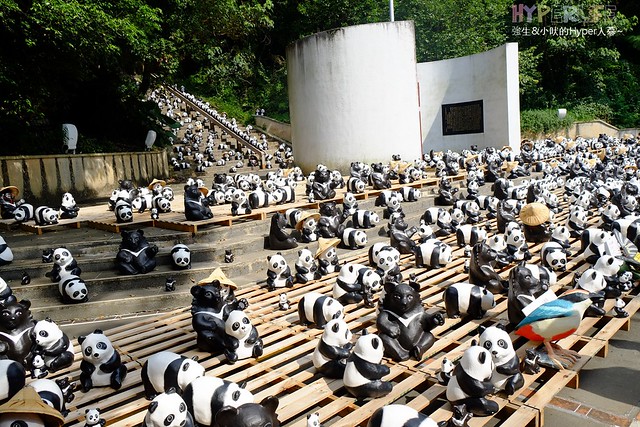 2014 台灣1600貓熊世界之旅(南投站) + 18度C巧克力工房 @強生與小吠的Hyper人蔘~