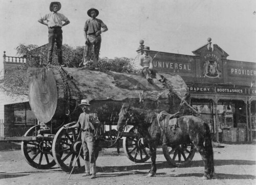 horses streets logs queensland 1915 wagons axes loggers statelibraryofqueensland beaudesert mensclothing slq