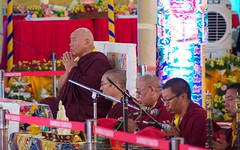 Rinpoches are leading the pumas at Sharminub