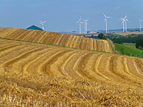 field geotagged harvest agriculture windpower windpowerstation geo:lat=5147002500 geo:lon=924171667