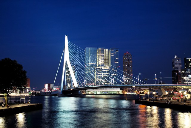 Rotterdam: Erasmus Bridge
