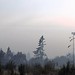 36 Pit Fire Burning Near Estacada, Oregon, Viewed from Beavercreek, Oregon