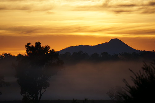 morning mist fog sunrise gold dawn