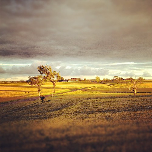 fields summerevening goldenhour uploaded:by=flickstagram instagram:venuename=alme instagram:venue=9908937 instagram:photo=2362431258011612687975099