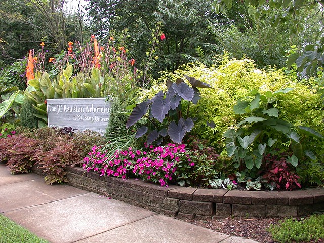 J.C. Raulston Arboretum