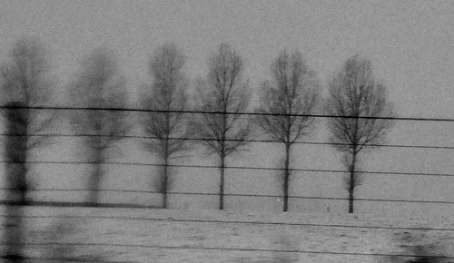 trees winter snow paris field speed train landscape dawn bruxelles