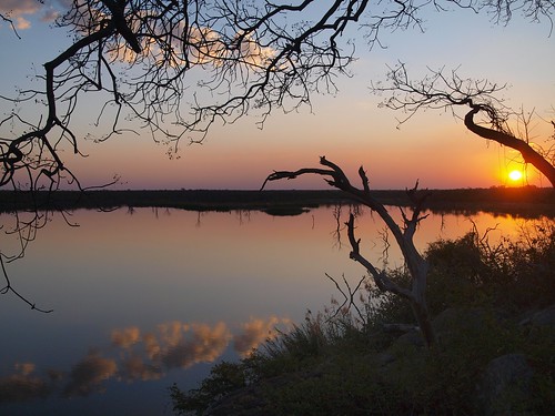 sunset reflection tree water clouds southafrica reservoir rsa kruger afterglow mopani restcamp pioneerdam