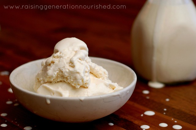 Maple Vanilla Ice Cream :: Refined Sugar Free With Dairy Free Option