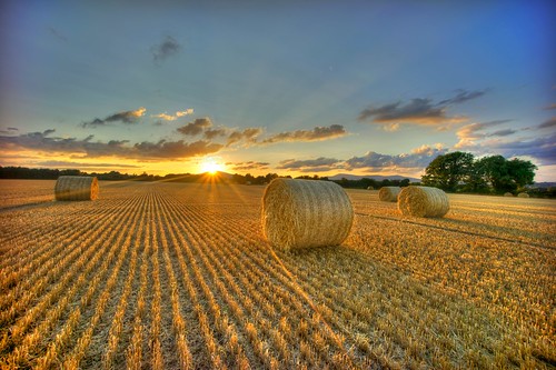 summer harvest straw license irelandlandscape imageforsale lambertimagesyahoocom
