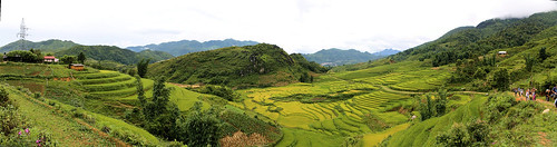 landscape rice vietnam sa ricepaddies paesaggio sapa paddies risaie pà sapà
