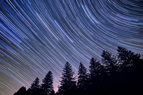 night sky timelapse stars trees spruce forest landscape nightscape astrophotography