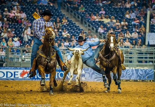 cowboys texas houston chase rodeo steers houstonrodeo steerwrestling rodeo2012 reapjeans