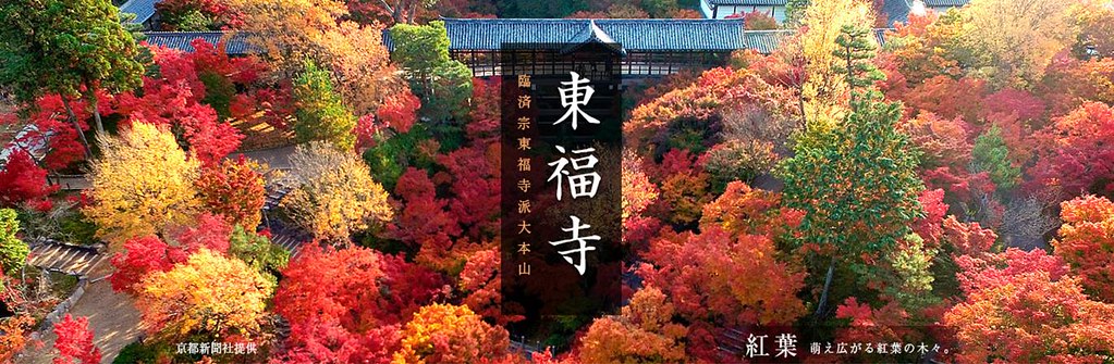 東福寺官網圖片