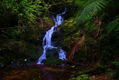 waterfall costarica jungle tropical cataratas cloudforest sangerardodedota riosavegrevalley