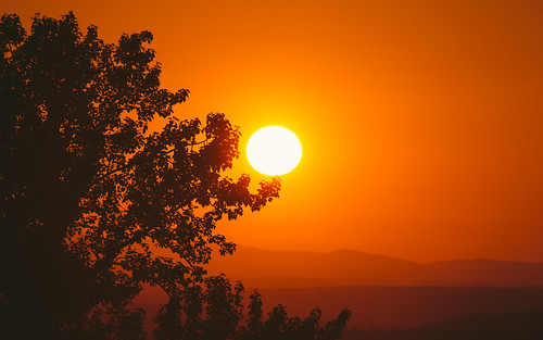 sunset orange sun tree nature silhouette canon landscape outdoors washington hills pacificnorthwest pnw issaquah canonef100400mmf4556lisusm canoneos5dmarkiii johnwestrock