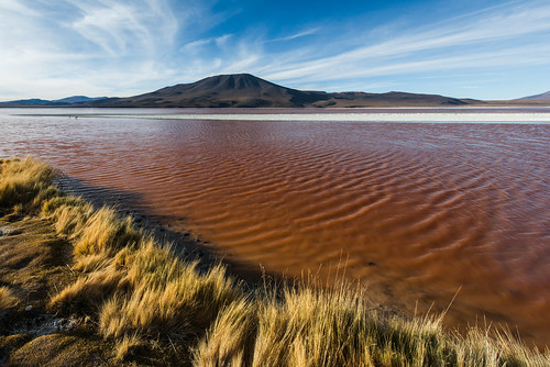 bolivia lagoon laguna altiplano