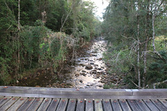 Forbes River Tributary Crossing Cockerawombeeba Road on Way to Plateau Beech Rest Area, Werrikimbe National Park, Wauchope, NSW