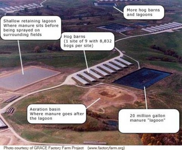 Factory Farms and manure in the water