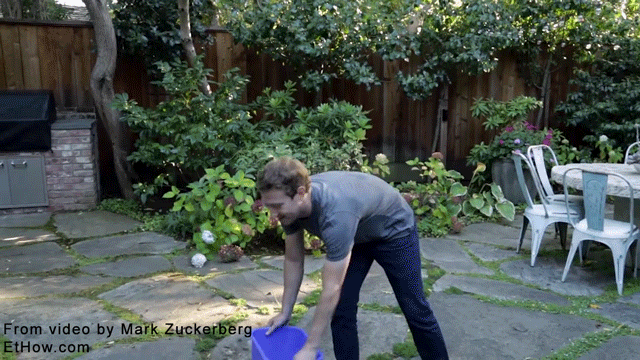 Mark zuckerberg completing ice water challenge