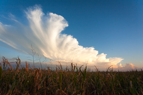 sunset cloud storm field yahoo corn cornfield cloudy kansas cloudformation stormcloud platinumheartaward