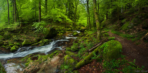 panorama green nature water creek forest wald schwarzwald blackforest geroldsau geroldsauerwasserfälle grobbach