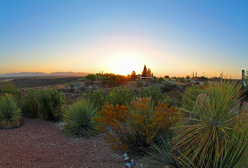 arizona tombstone 2014