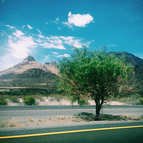 arizona usa southwest tree clouds america roadtrip smartphone roadside norrinradd iphone5 vscocam