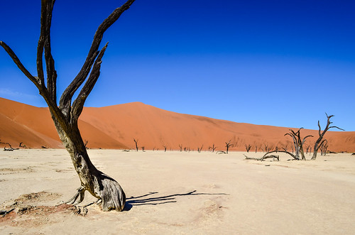 Surreal landscape of Dead Vlei, Namibia