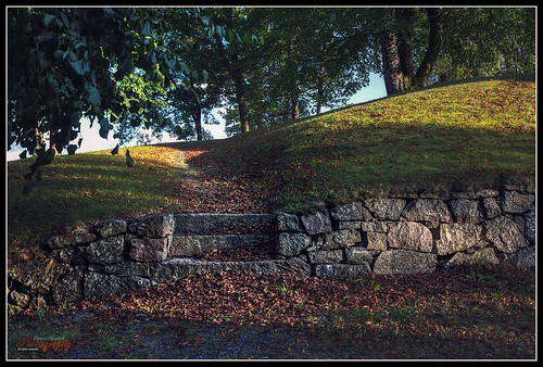 park trees leaves norway stairs canon landscape path trail hdr grimstad kirkeheia