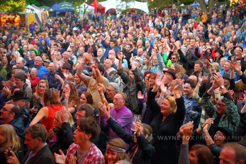 Moseley Folk Festival 2014