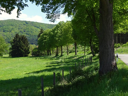 road trees green nature fence germany landscape deutschland spring hessen hills fields hesse