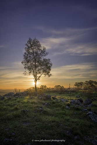 sunset australia redhill canberra act cbr australiancapitalterritory redhil nikond600 1635mmf4