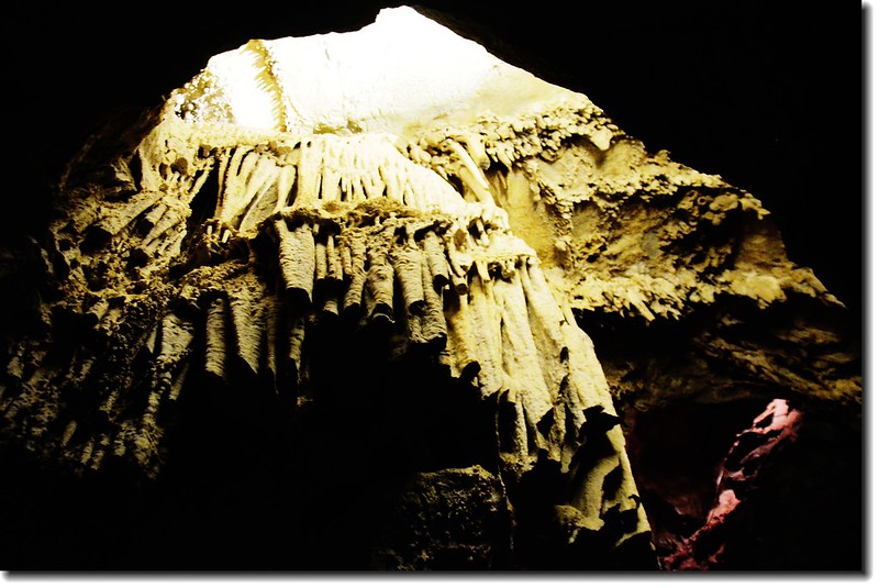 Stalagmites in Lehman Caves 12