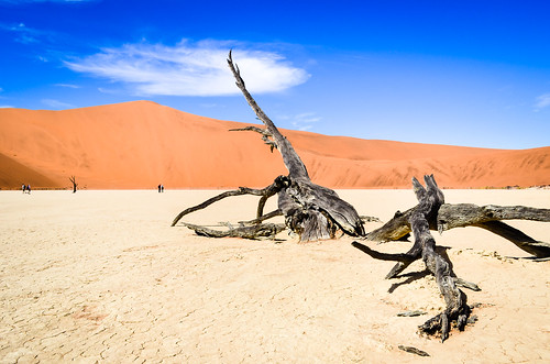 Dead trees of Dead Vlei, Namib desert, Namibia