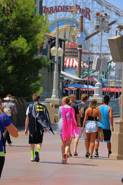 Disneyland Update - August 2014