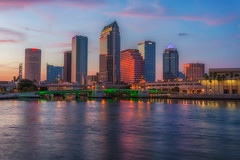 Tampa After Sunset Tight