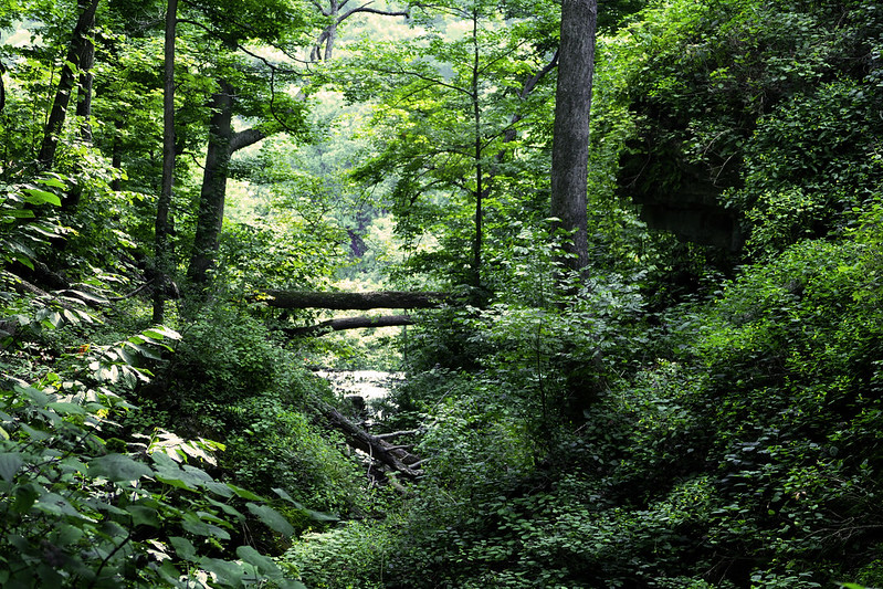 Indiana Clifty Falls