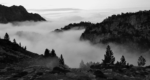 refugio niebla pirineos